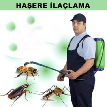 Tekkeköy Böcek İlaçlama